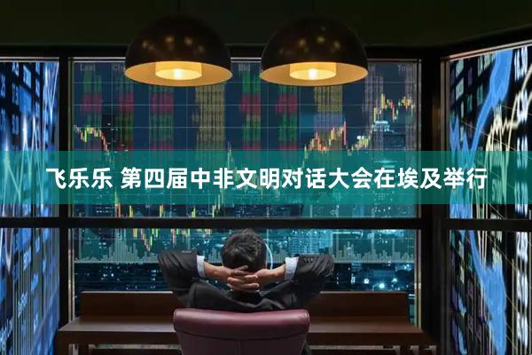 飞乐乐 第四届中非文明对话大会在埃及举行