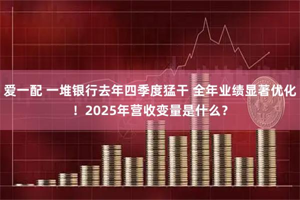 爱一配 一堆银行去年四季度猛干 全年业绩显著优化！2025年营收变量是什么？