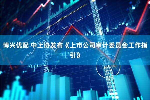 博兴优配 中上协发布《上市公司审计委员会工作指引》