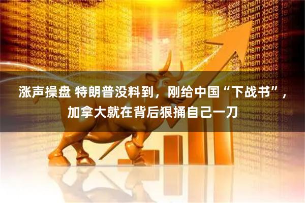 涨声操盘 特朗普没料到，刚给中国“下战书”，加拿大就在背后狠捅自己一刀