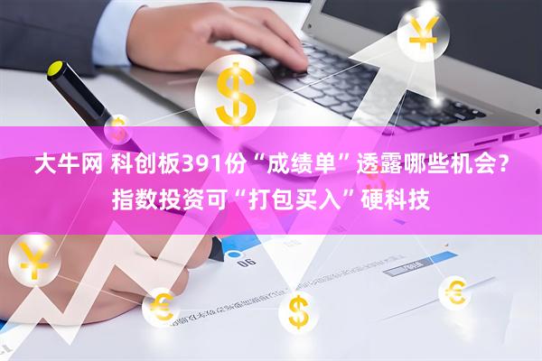大牛网 科创板391份“成绩单”透露哪些机会？指数投资可“打包买入”硬科技