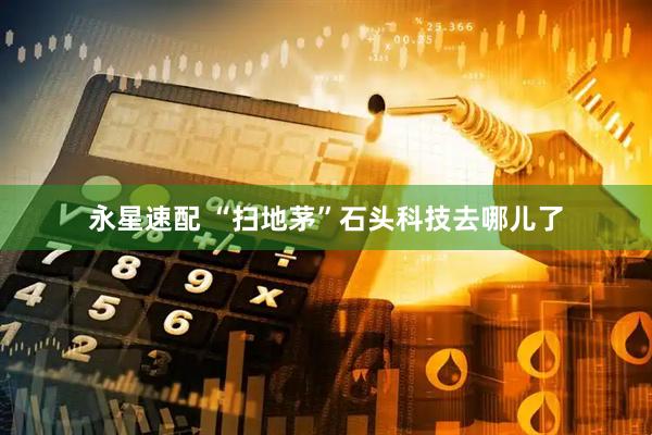 永星速配 “扫地茅”石头科技去哪儿了